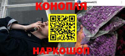 гидропоника Канаш