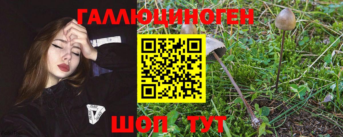 Корсаков  Псилоцибиновые грибы прущие грибы  Псилоцибиновые грибы мухоморы  Вход с VPN 