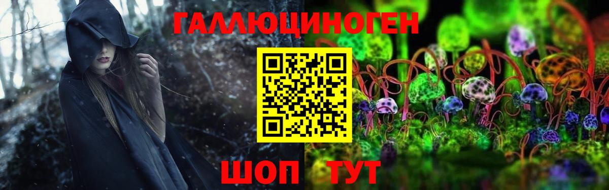 Псилоцибиновые грибы GOLDEN TEACHER Корсаков
